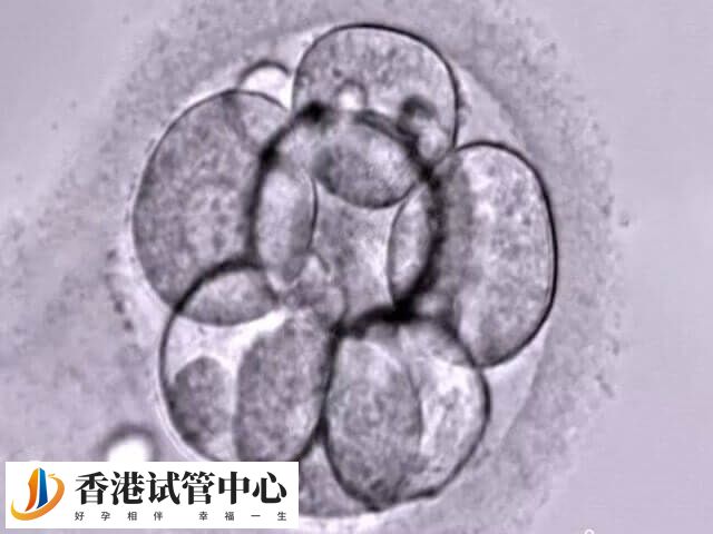取7個卵配成6個說明什么