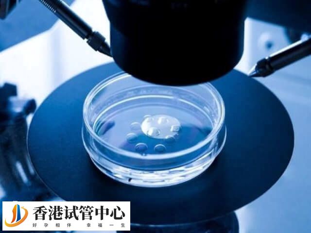 香港三代試管囊胚檢測要多久