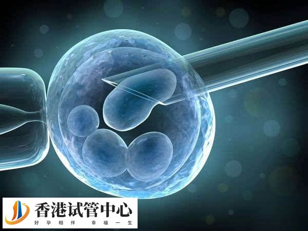 4BA囊胚處于第4期擴張階段